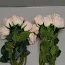 Roses Real-Touch Artificial Flowers Latex Full Blossom Faux Heads Dozen 22 Tall Stems Fake Bouquet Luxury Home Dcor Indoor Living Room Bedroom Love Gift, 12 PCS Bundle (Blush Peach)