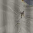 Keep Pets Off of Your Furniture! (Beige)