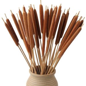Dried Natural Cattails - 20PCS for DIY Floral Arrangements and Home Office Decor - 17 Inch Length