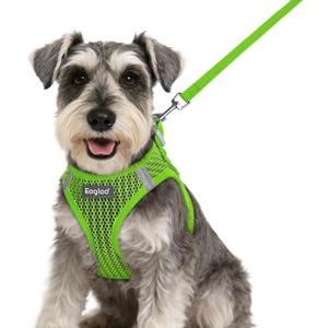 Eagloo Small Dog Harness and Leash Set, Step in Puppy Vest with Breathable Soft Mesh, Walking Reflective Pet Harness for Small Dogs, Green, S (S(Chest:15.1"-16.5"))