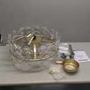 20 Inch Gold Caged Ceiling Fan with Light, Flower Chandelier Ceiling Fan with Lights Remote Control, Frower Crystal Fandelier 6 Speeds for Girl's Bedroom, Living Room