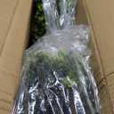 HUZIYAHAN 32 Inch Extra Large Boxwoods Green Spring Artificial Wreath for Front Door, Year Round Spring Summer Winter Wreaths for Wall Window Porch Home Farmhouse Outdoor Outside Indoor Decorations