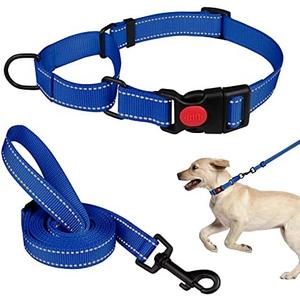Martingale Dog Collar and Leash Set Martingale Collars for Dogs Reflective Martingale Collar for Dogs(Blue&S)
