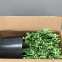 2 Set Real Touch Artificial Eucalyptus Topiary Trees for Outdoor Decor - 16" Faux Eucalyptus Potted Plant, Fake Greenery Shrubs in Black Pot for Front Door Porch Farmhouse Shower Home Decor