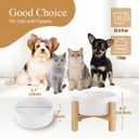 Elevated Ceramic Cat Bowl - Cat Food Bowl with Bamboo Stand - Raised Dog Dish for Puppies - Anti Vomiting, Stress Free - 13.5 oz / 400 ml - White