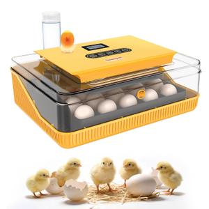 25 Eggs Incubator, Incubators for Hatching Eggs, with Automatic Egg Turner and Temperature & Humidity Control, Egg Candler, for Hatching Quail, Chicken, Duck, Goose Eggs (Yellow)