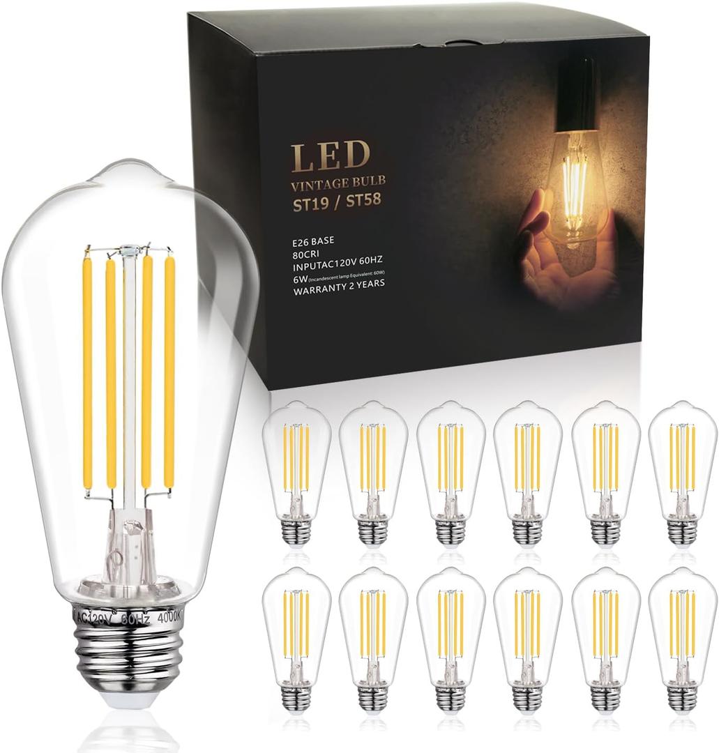 BORT ST58/ST19 Vintage LED Edison Bulbs, 6W Equivalent 60W Filament Light Bulbs, Dimmable 700LM, E26 Base LED Bulbs, Clear Plastic (Daylight White, 12 Pack)