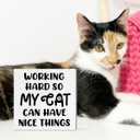 2 x Cat Lover Decor Wooden Box Sign, Funny Cat Desk Decoration for Home, Working Hard, Cat Lover Gifts for Women Men, Cat Mom Cat Dad Cat Owner Gifts