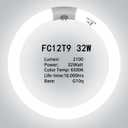 FC8T9 22W and FC12T9 32W Circular Light Bulbs Set, 8 Inch T9 22 Watts Round Fluorescent Bulb, 12 Inch 32 Watts Fluorescent Lamp,CRI 80, 6500K,G10q Prong, 2 Pack