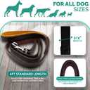 Leather Dog Leash - Great for Training - All Leather Lead- Dog Walking for Life (Brown)