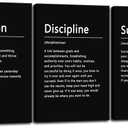 3 Pieces Office Decor Canvas Wall Art Inspirational Ambition Discipline Noun Picture Painting Motivational Positive Quotes Success Poster Modern Home Decor Bedroom Framed Ready to Hang[48" W X 24" H] (BOSS A-06)