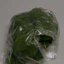 TIHOOD 40PCS Artificial Moss Rocks (4 Sizes), Green Moss Decor for Floral Arrangements, Fairy Gardens and Crafting