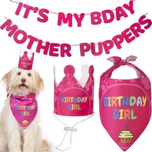 3 x Dog Birthday Party Supplies - Bday Decoration Set - Birthday Girl Bandana for Medium, Large Dogs, Party Hat, Crown and Cute Banner with It's My Birthday Mother Puppers Sign