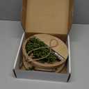 Floweroyal 2pcs Artificial Succulents Hanging Plants 12.2'' Fake String of Pearls in Pot with 8.3'' Lanyard for Indoor Outdoor Wall DecorWood Color.