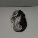 Synthetic Half Black Half Grey Gradient Long Straight Wig for Women Cosplay Fashion Hairpiece for Parties Halloween Daily Use