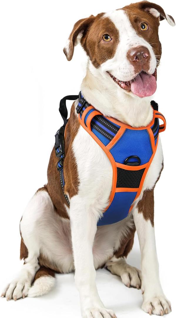 rabbitgoo Dog Harness No Pull with 2 Leash Clips, Adjustable Soft Padded, Reflective Oxford No Choke Pet Vest with Easy Control Handle for Large Dogs, Blue & Orange, L rabbitgoo Dog Harness No Pull with 2 Leash Clips, Adjustable Soft Padded, Reflective Oxford No Choke Pet Vest with Easy Control Handle for Large Dogs, Blue & Orange, L