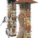 Perky-Pet Squirrel Be Gone Caged Bird Feeder [Set of 2]