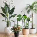 2 Pack 30 Inch Taller Plant Trellis for Potted Climbing Plants Indoor,Expandable Metal Garden Trellis for Climbing Plants,Flowers Vine Ivy, Sturdy Houseplant Support for Potted Plants with Ties