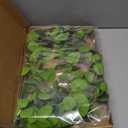 Forlaoers Green Fake Eucalyptus Faux Greenery Stems Silk Plants 32" Tall Leaves Olive Branches for Vases Home Decor Floral Arrangements Indoor Wedding Flowers (B:3pcs 31" Tall Green Eucalyptus)