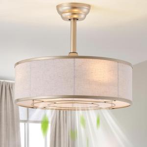 Boho Fandelier Ceiling Fan with Light, Gold Caged Ceiling Fans with Lights, Ceiling Fans with Remote 6 Speeds For Bedroom, Living Room, Nursery, 20 Inch