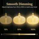 Oversized Decorative LED Light Bulb 6W 500LM E26 Large Fancy Edison Bulbs 60W Incandescent Dimmable 2200k Warm White Pendant Lighting for Bedroom Dining Living Room Bar1 Pack (PK215AM)