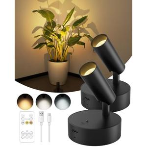 GOODEA Spotlights Indoor with Remote, 3000mAh Rechargeable Battery Plant Spotlight Indoor, Wireless Uplighting with 3 Colors & Dimmable, LED Picture Light for Painting, Artwork Accent Lighting(2 Pack)