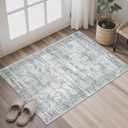 Soalmost 2x3 Washable Rugs for Kitchen, Floor, Entryway, Powder Room Small Area Rug Non-Slip Vintage Low Pile Throw Door Mat Grey
