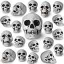Aoriher 20 Pieces Halloween Skull Plastic Realistic Looking Skeleton Skull Human Skeleton Head Fake Decor Miniatures for Crafts Halloween Decorations for Home Table Bar Decor, 3 Sizes(Medium)