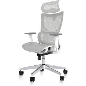 PatioMage Ergonomic Office Chair with Footrest, Big and Tall Desk Chair with Adjustable Lumbar Support, Seat Depth & 3D Armrests, High Back Mesh Computer Chair for Home Office, Grey, Large