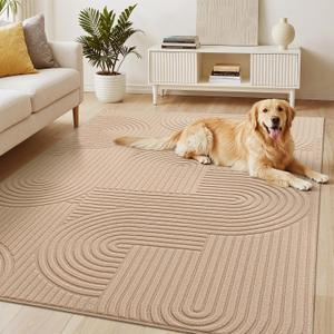 Soalmost 5x7 Washable Area Rug with High-Low Pile for Living Room, Brown