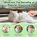 Flea Comb Set for Cats & Dogs  2 Self-Cleaning Flea Combs (Long & Short Teeth), Shell Comb, Detangling Comb & Electrostatic Hair Removal Glove  Effective for Removing Fleas, Tangles & Loose Hair