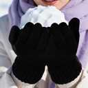 Winter Gloves for Women, Womens Gloves Cold Weather Warm Lined, Gloves for Women Touchscreen Fingers (Black)