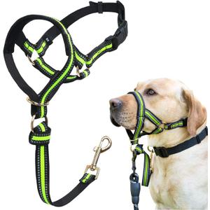 BARKLESS Muzzle Leash for Heavy Pullers, No Pull Stylish Head Halter for Small and Medium Aggressive Dogs, Gentle Dog Face Harness Stops Pet Pulling and Choking on Walks, Adjustable Head Collar (S (Snout Cir: 7"-9"), Green)