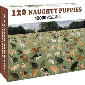 2 x Prank Gift Box, Naughty Puppies Theme Gag Gift Empty Box, Wrap Your Real Present in a Convincing and Funny Fake Gift Box, Hilarious White Elephant Gifts for Golfer, Husband, Dad, Brother and Boyfriend (Style No.3 - 1 Pack)