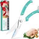 HAUSHOF Kitchen Shears for Food, Heavy Duty Poultry Shears, Stainless Steel Sharp Kitchen Scissors with Serrated Blade, One-Piece Handle, Spring, Safety Lock, 10" Food Scissors for Bones, Meat, Fish