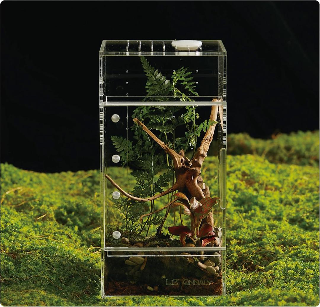 Acrylic Terrarium for Reptiles & Spiders  Small/Medium/Large Leak-Proof Enclosure (Horizontal/Vertical) | Ideal for Tarantulas, Jumping Spiders, Frogs & Geckos (Small, Square Vertical)