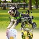 4-Wheel Dog Wheelchair for Back Legs - Switch Between 2 & 4-Wheel Modes, Helps Pets Walk Run and Play Again, Suitable for Small/Medium Pets Under 16.5 lbs (M) HPWC-4WM