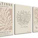 Matisse Aesthetic Canvas Wall Art Set of 3, Abstract Henri Matisse Beige Neutral Wall Home Decor Boho Flower Abstract Poster Prints, for Living Room Bedroom, 12x16 Framed
