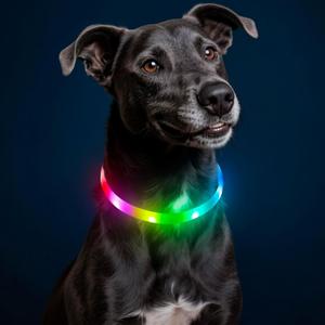 HIGO RGB LED Dog Collar Light - USB Rechargeable Light Up Dog Collars, Safety LED Dog Necklace for Your Dogs Walking at Night (Multi-Color)