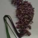 Zeyune 5 Pcs Purple Faux Berry Stems Spring Artificial Dusty Plum Stem Soft Plum Sedum Berry Picks Branches Faux Spray for Home Wedding Holiday Seasonal Farmhouse Mantel DIY Home Decorations