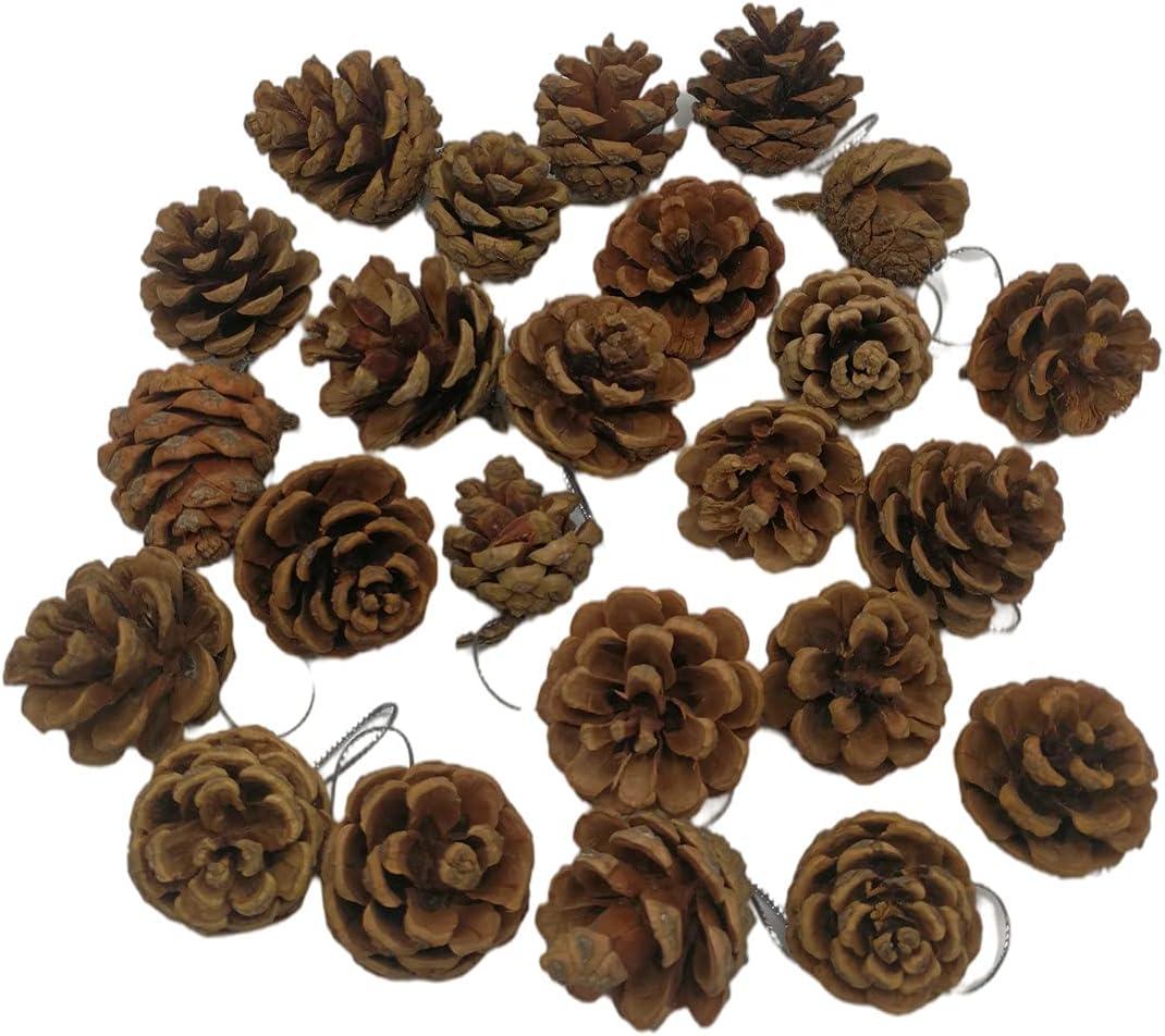24 Pieces Christmas Pine Cones Ornament Natural Pine Cones with String Pendant Crafts for Gift Tag Christmas Tree Party Hanging Decoration Home Decorations