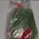 30Pcs Artificial Pine Branches with Red Berry Stems Assorted Faux Cedar Leaves Sprigs Holly Berries Twigs Christmas Tree Picks Greenery Sprays for DIY Craft Wreath Garland Holiday Season Décor (Green)