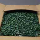 ODTORY Artificial Grass Wall Panel Backdrop,10" X 10" 12P(8.4 sqft) UV-Anti Greenery Boxwood Panels for Indoor Outdoor Green Wall Decor & Ivy Fence Covering Privacy