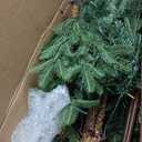 National Tree Company 6.5 ft Pre-Lit Norwegian Spruce Artificial Christmas Tree, 650 Clear Lights, 956 Feel Real Tips, Includes Stand, Green