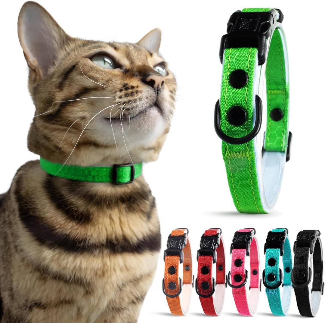 OutdoorBengal Green Breakaway Kitten Collar - Ultra Safe Quick Release Cat Collar for Small Kittens Under 6 Months  Soft-Padded, Lightweight, Adjustable, Thin and Comfortable, No Bell (Green, Kitten) OutdoorBengal Green Breakaway Kitten Collar - Ultra Safe Quick Release Cat Collar for Small Kittens Under 6 Months  Soft-Padded, Lightweight, Adjustable, Thin and Comfortable, No Bell (Green, Kitten)