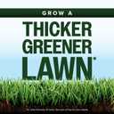 Scotts Kentucky 31 Grass Seed Mix - Premium Lawn Grass Seed, Covers Up to 5,000 sq. ft., 20 lb (EXP 12/31/26)