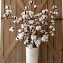 idyllic Cotton Stems Decor Branches, Cotton Flowers Plants for Decorations, Dried Flowers for Vase, Pack of 6-31 Inches Tall - 12 Bolls per Stem