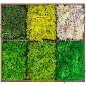 6 Colors Preserved Moss-16.9 OZ Natural Reindeer Moss-Moss for Crafts, Potted Plants Floral Arrangements Home Artistic Garden Decoration