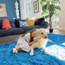OLANLY 2x3 Machine Washable Small Bedside Rug, Soft Fluffy Shaggy Entryway Throw Rugs for Bedroom, Living Room, Indoor Floor Carpet for Kids Girls and Boys, Home Decor Aesthetic, Bright Blue