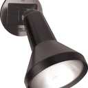 Nuvo Lighting SF77/700 One Light Landscape Flood